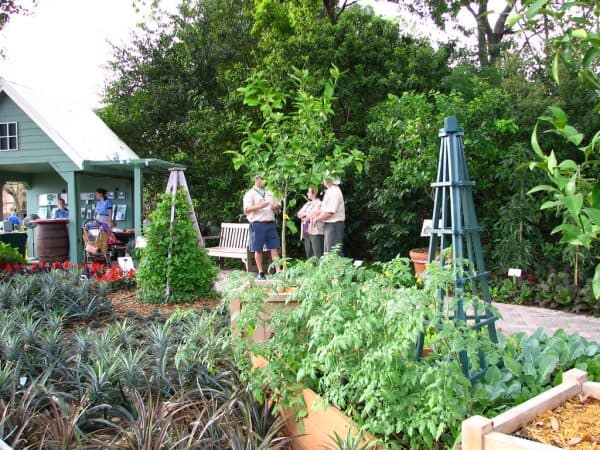 Tips for å lage en bærekraftig hage